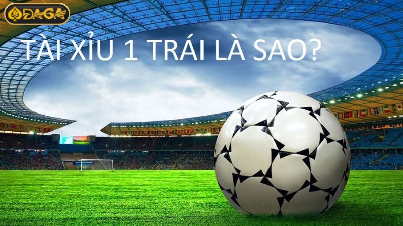Tài xỉu 1 trái là sao? Tài xỉu 1 trái là sao?
